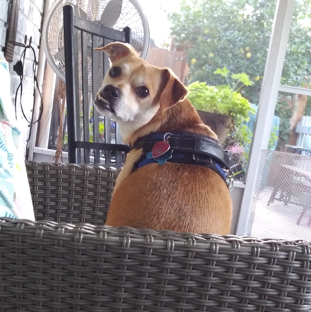 Give me a blank canvas and see what I can do!